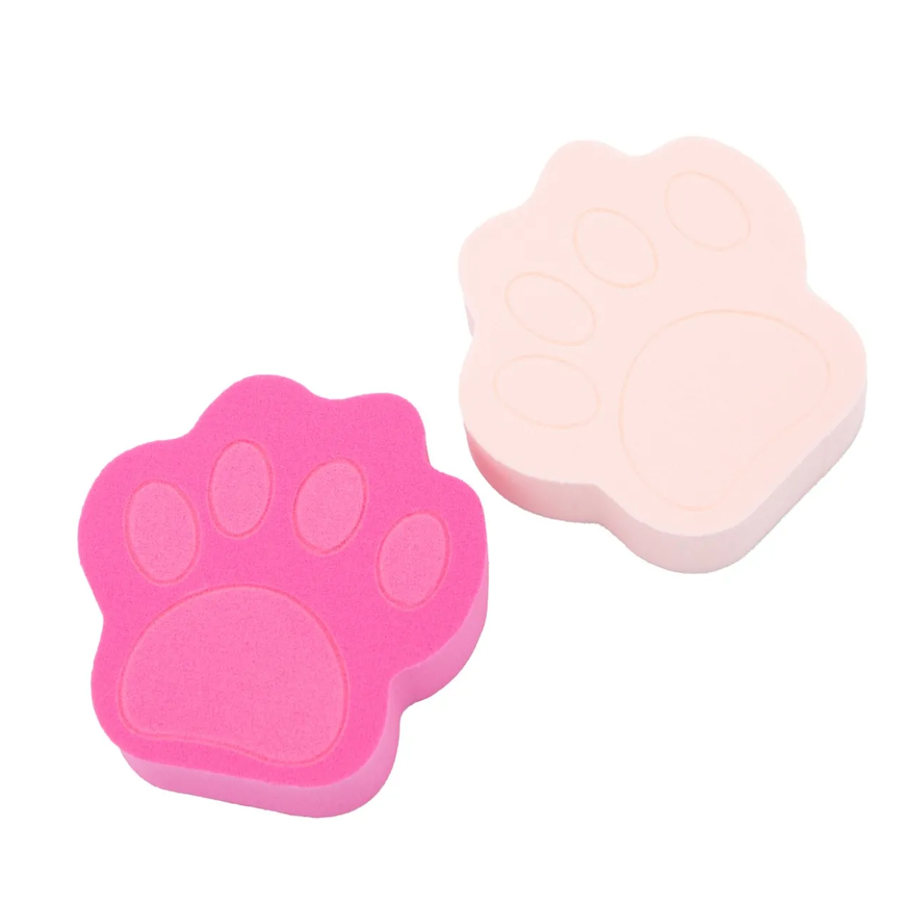 Set 10 Éponges Paw-ferct