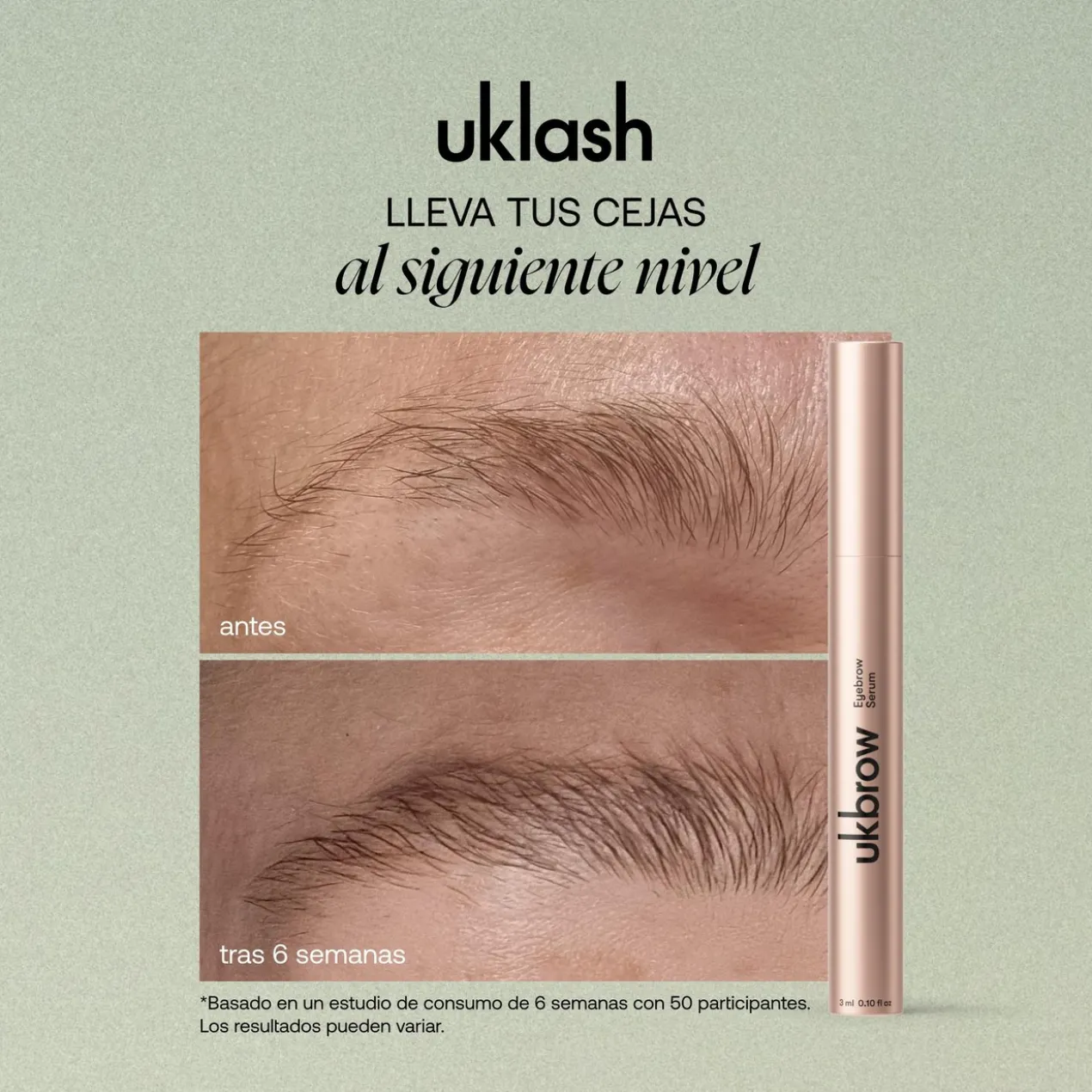 Set The Big Brow Edition