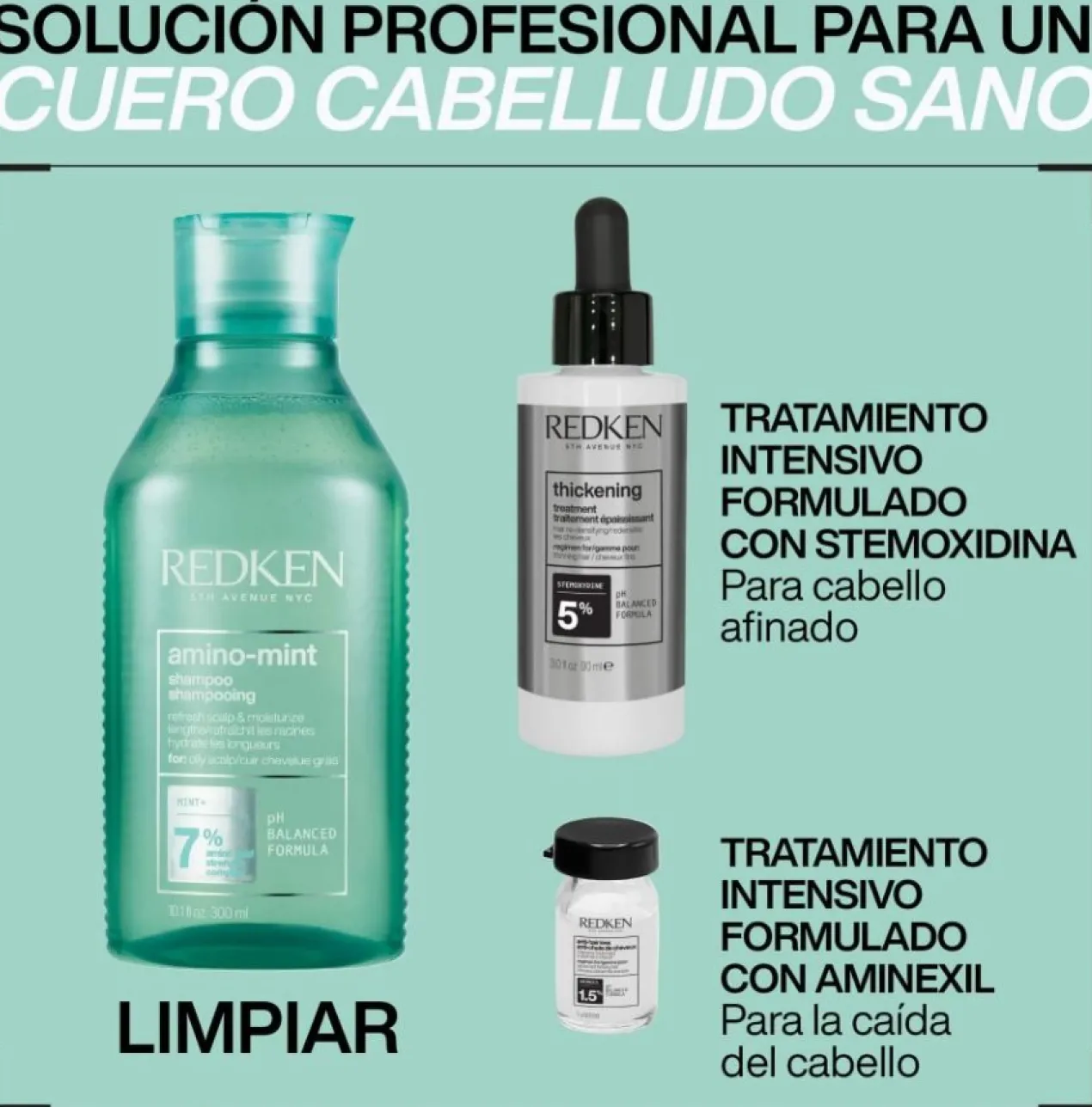 Shampoing Amino Mint Cheveux Gras