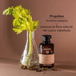 Shampoing Antipelliculaire pour Cuir Chevelu Sec