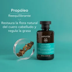Shampoing cheveux gras