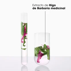 Shampoing Hydratation & Éclat au Figuier