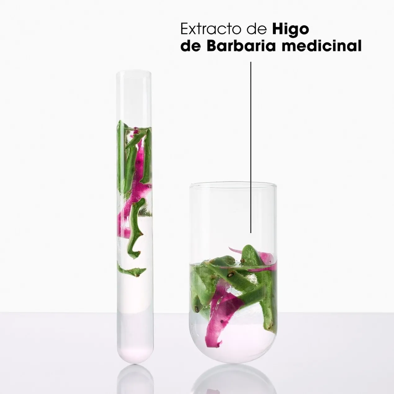 Shampoing Hydratation & Éclat au Figuier