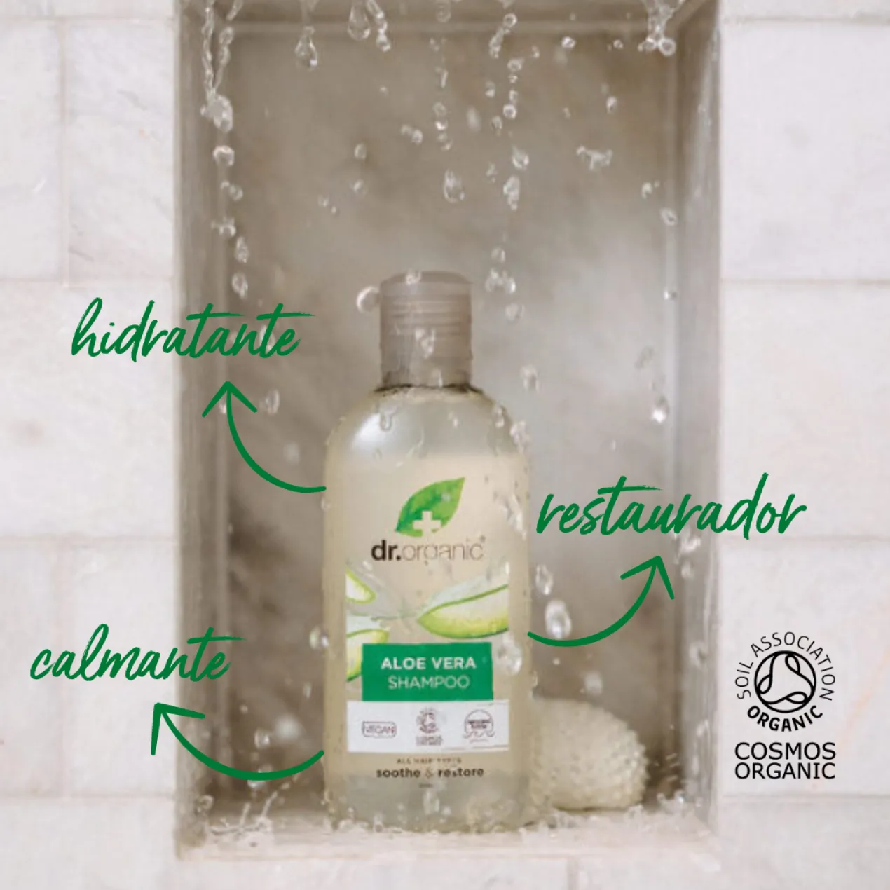 Shampoing à l’Aloe Vera