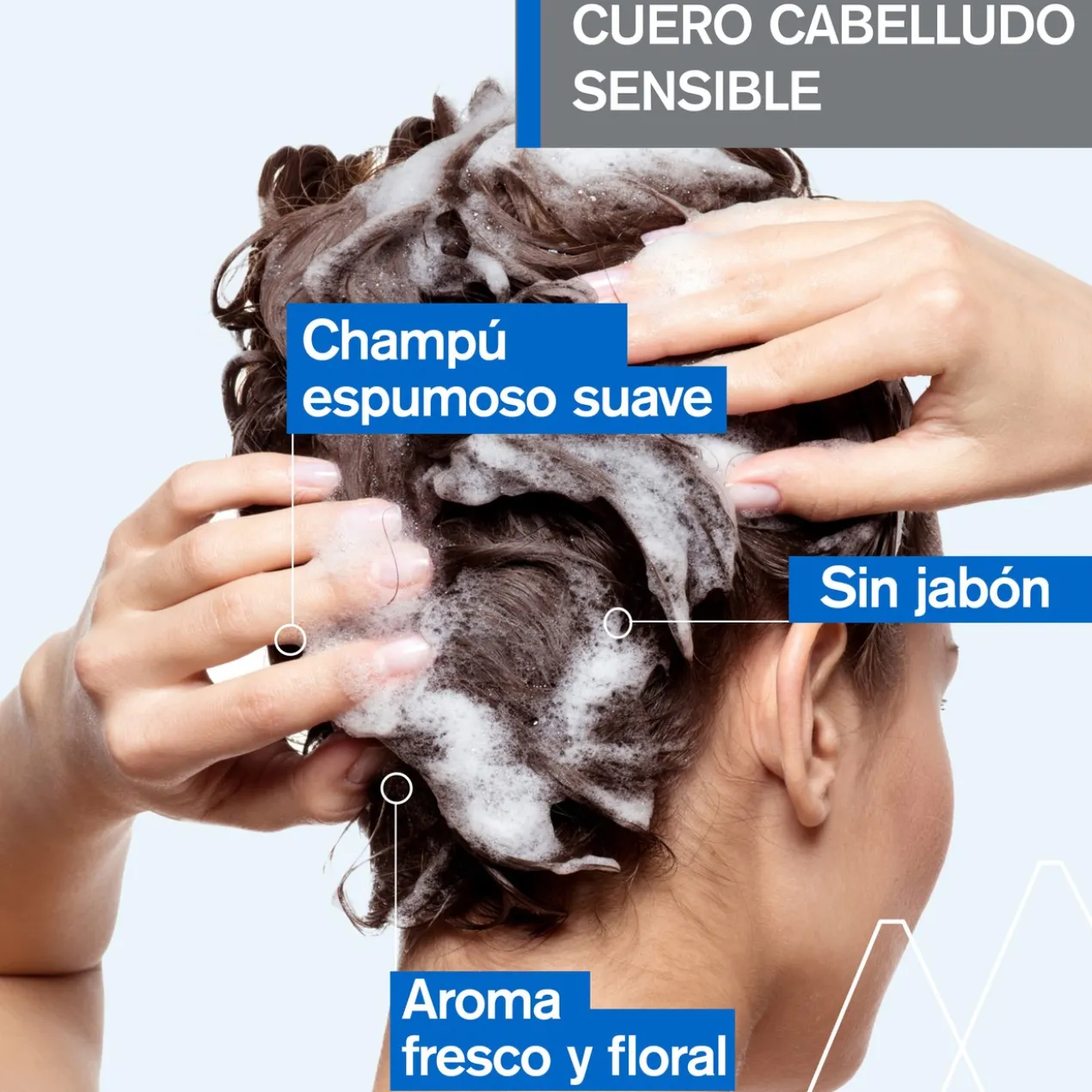 Shampoing Équilibrant DS Hair