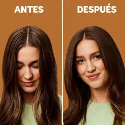 Shampoing Sec Châtains