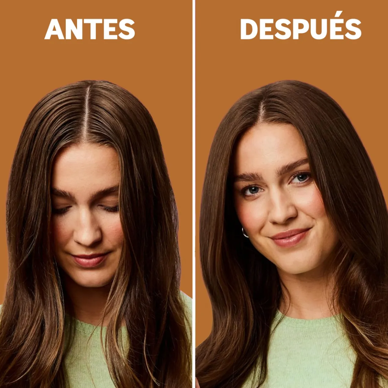 Shampoing Sec Châtains