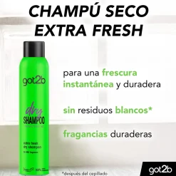 Shampoing Sec Instant Fresh-Up
