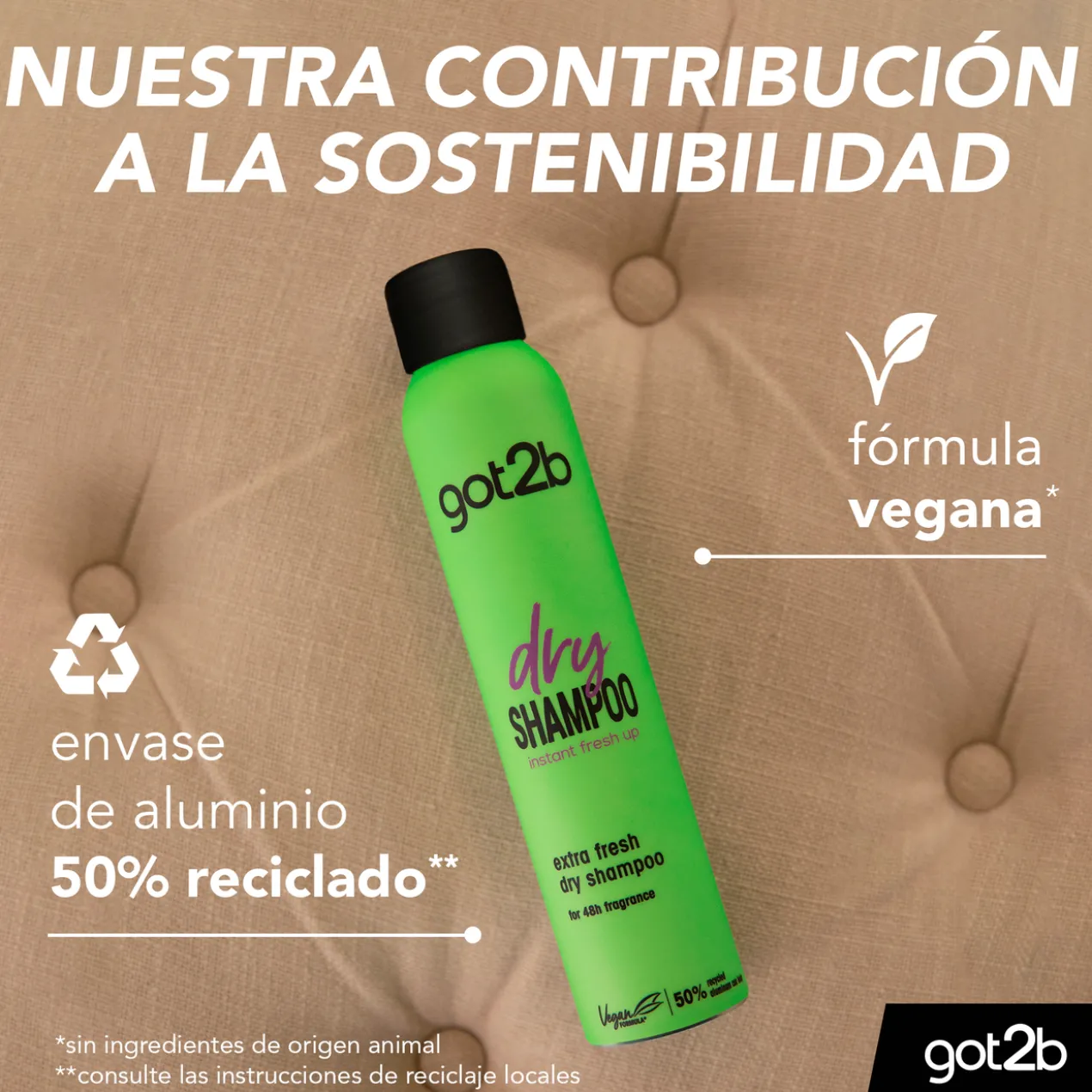 Shampoing Sec Instant Fresh-Up