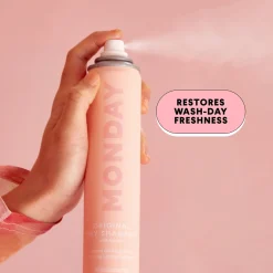 Shampoing Sec Original