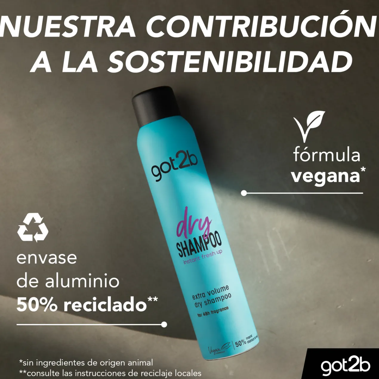 Shampoing Sec Volume