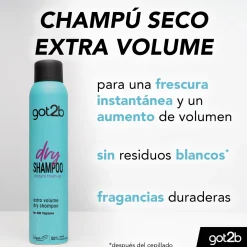Shampoing Sec Volume