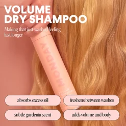 Shampoing Sec Volume