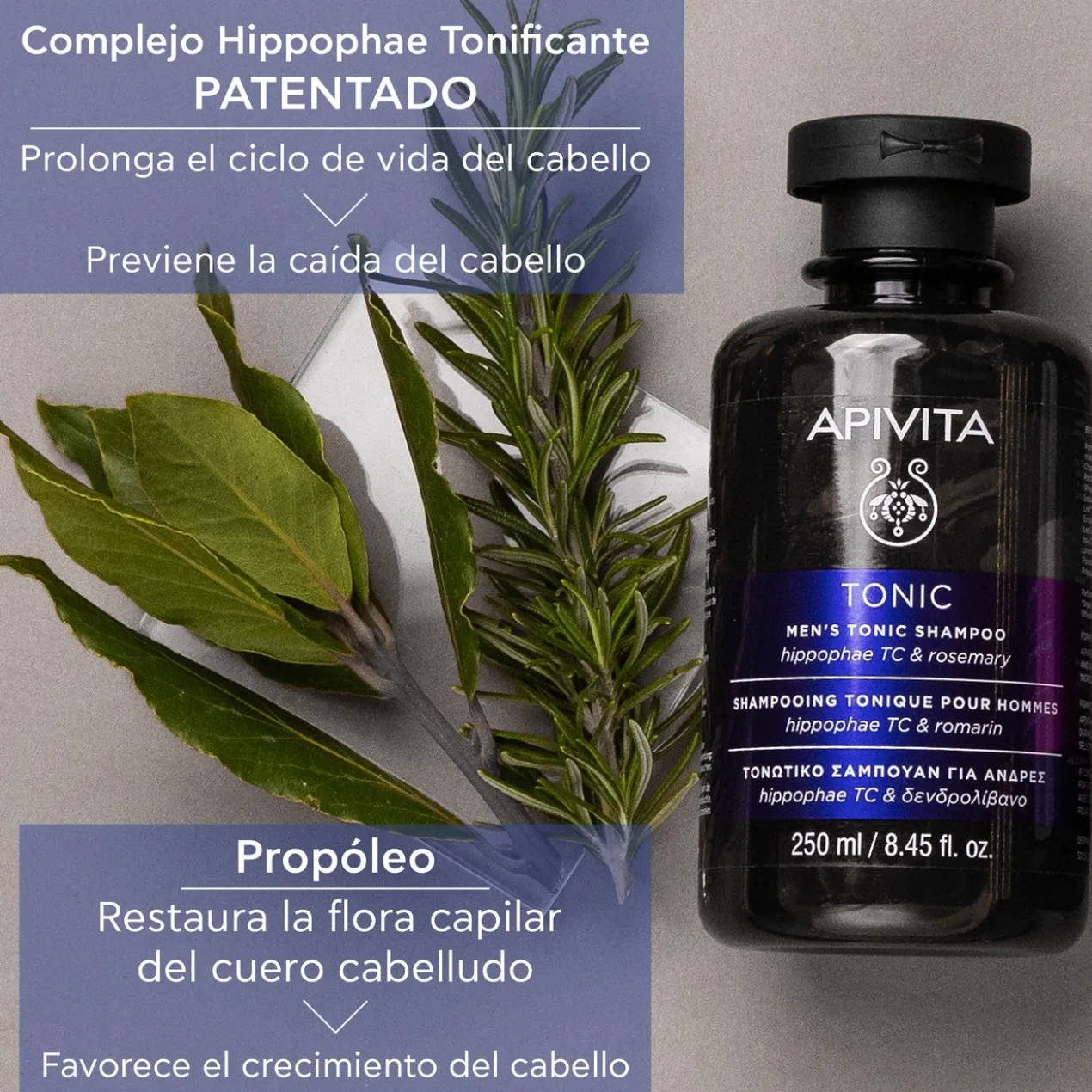Shampoing tonifiant homme anti-chute