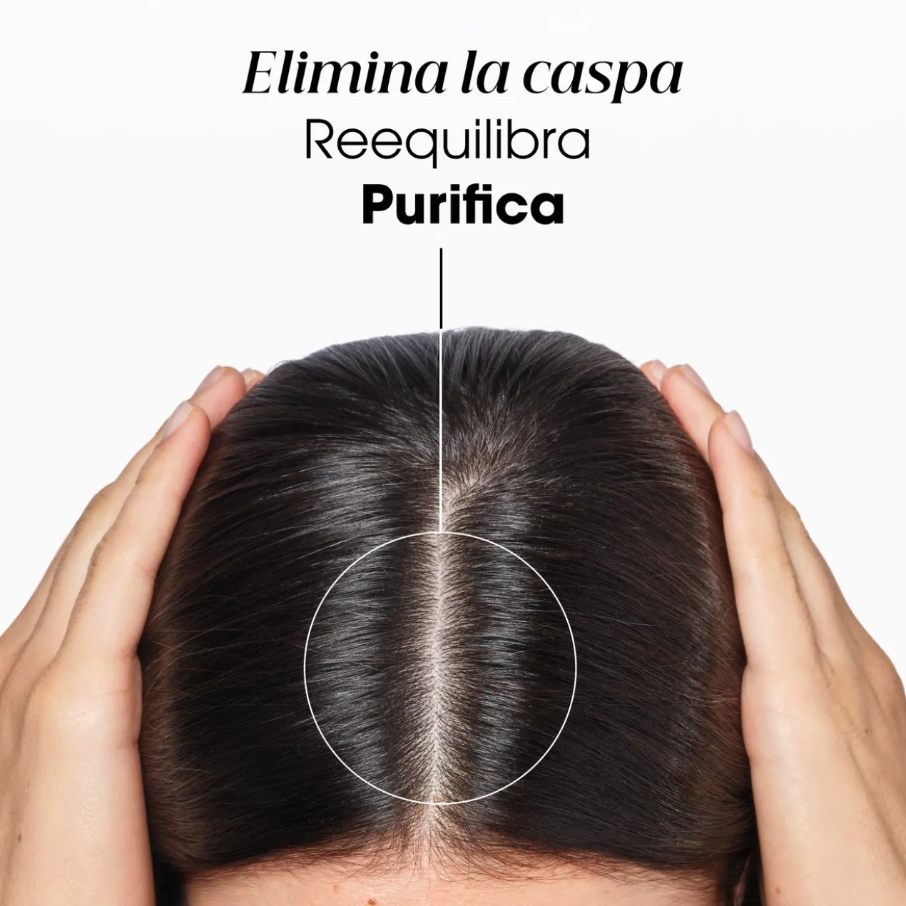 Shampooing Galanga Antipelliculaire Cuir Chevelu
