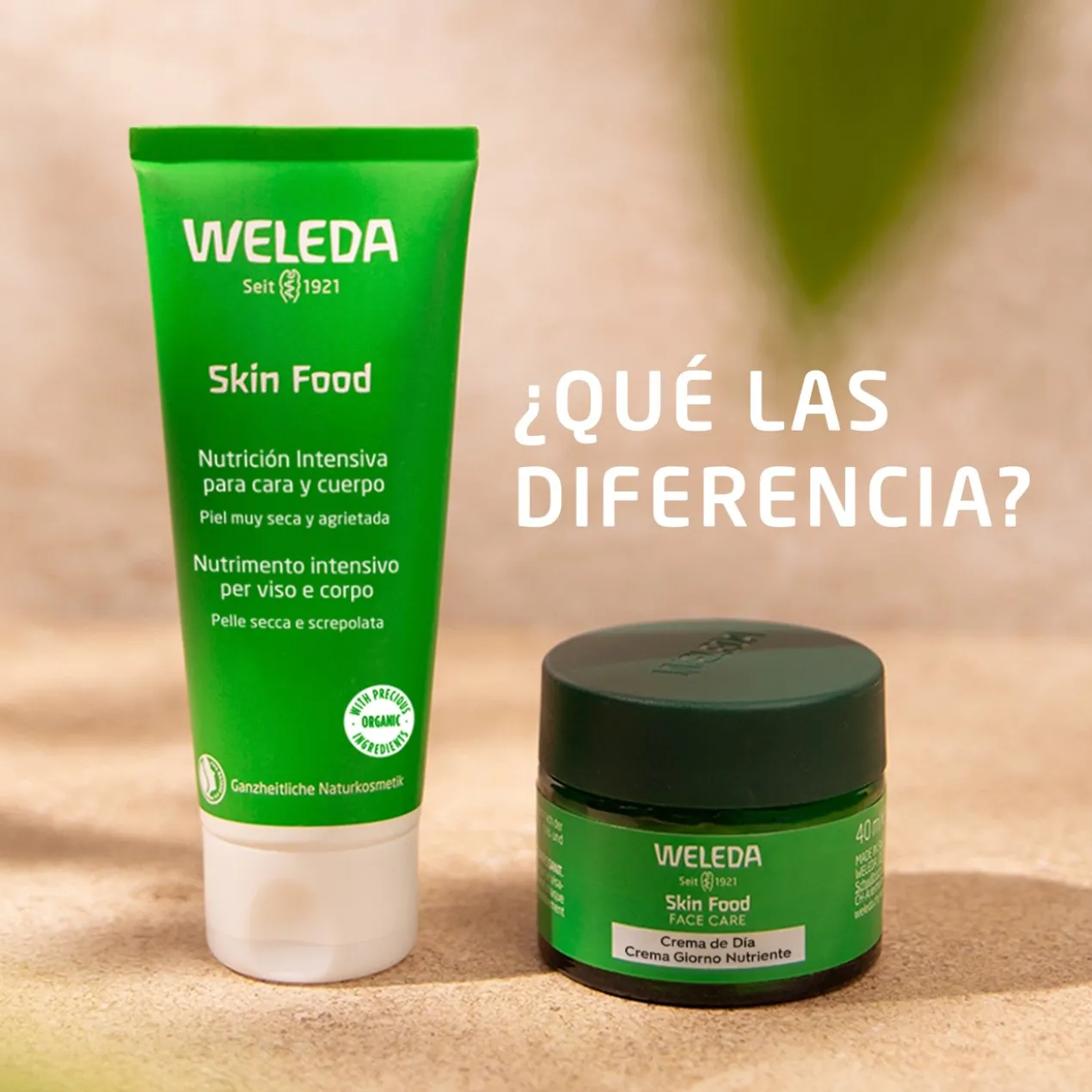 Skin Food Crème de Jour