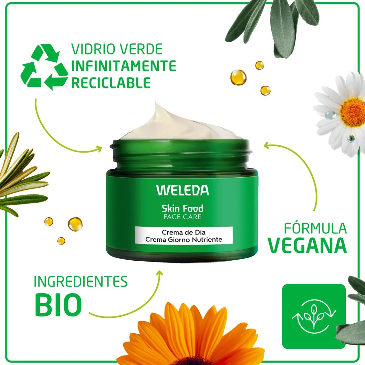 Skin Food Crème de Jour