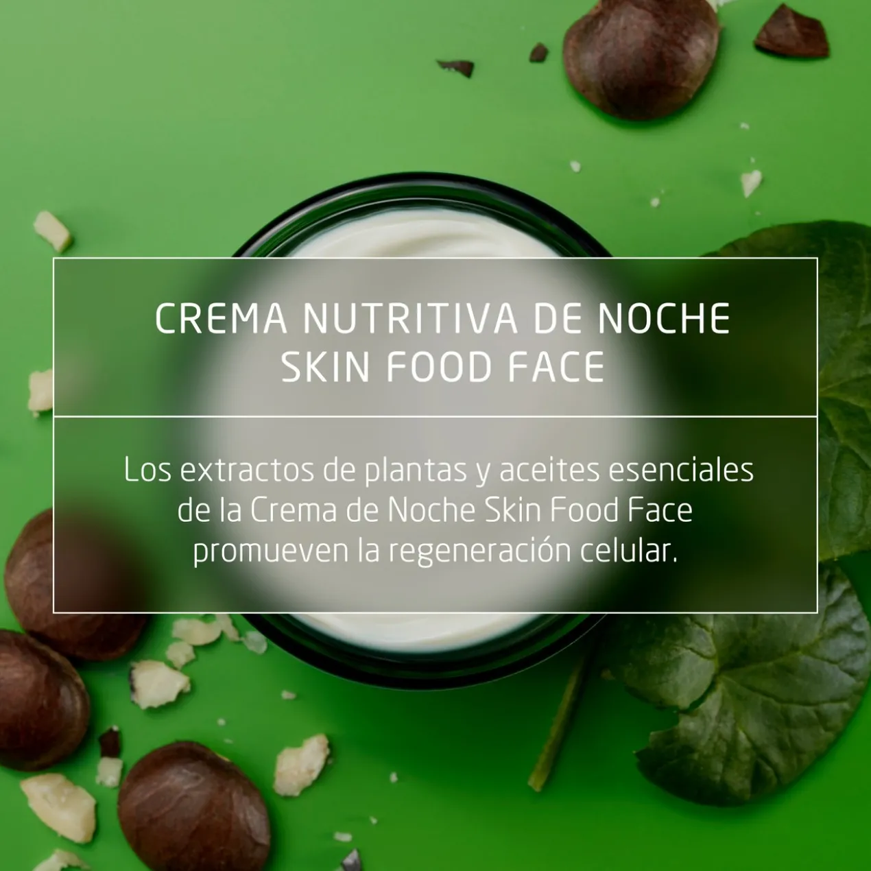 Skin Food Crème de Nuit
