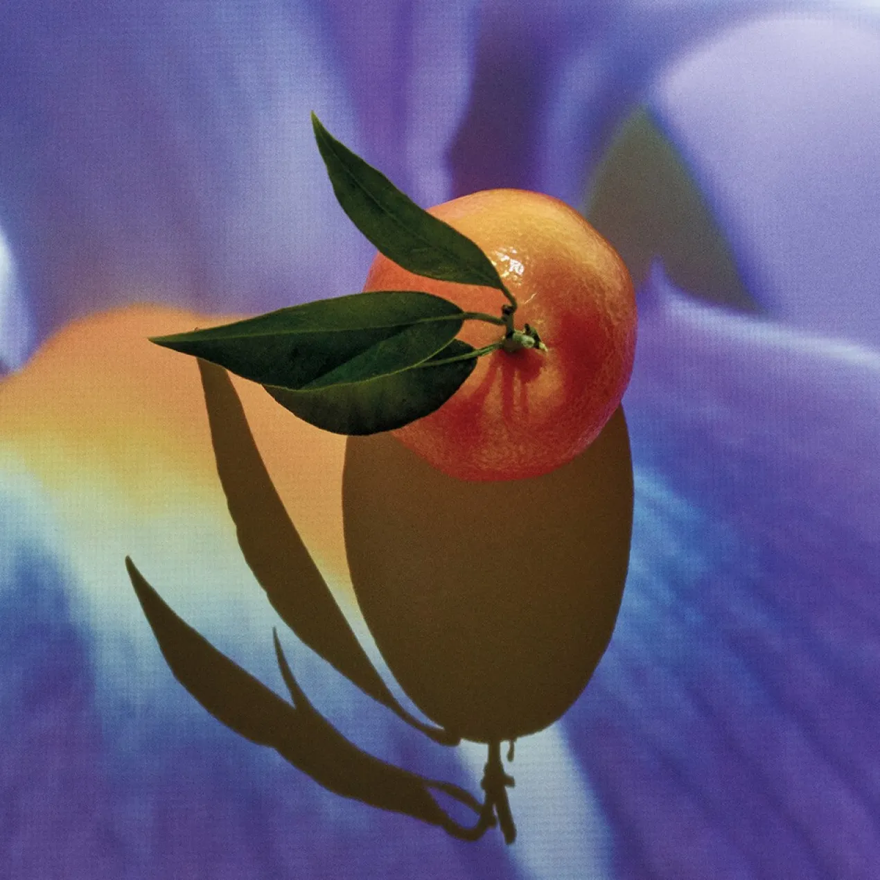 Solo Elixir Eau de Parfum