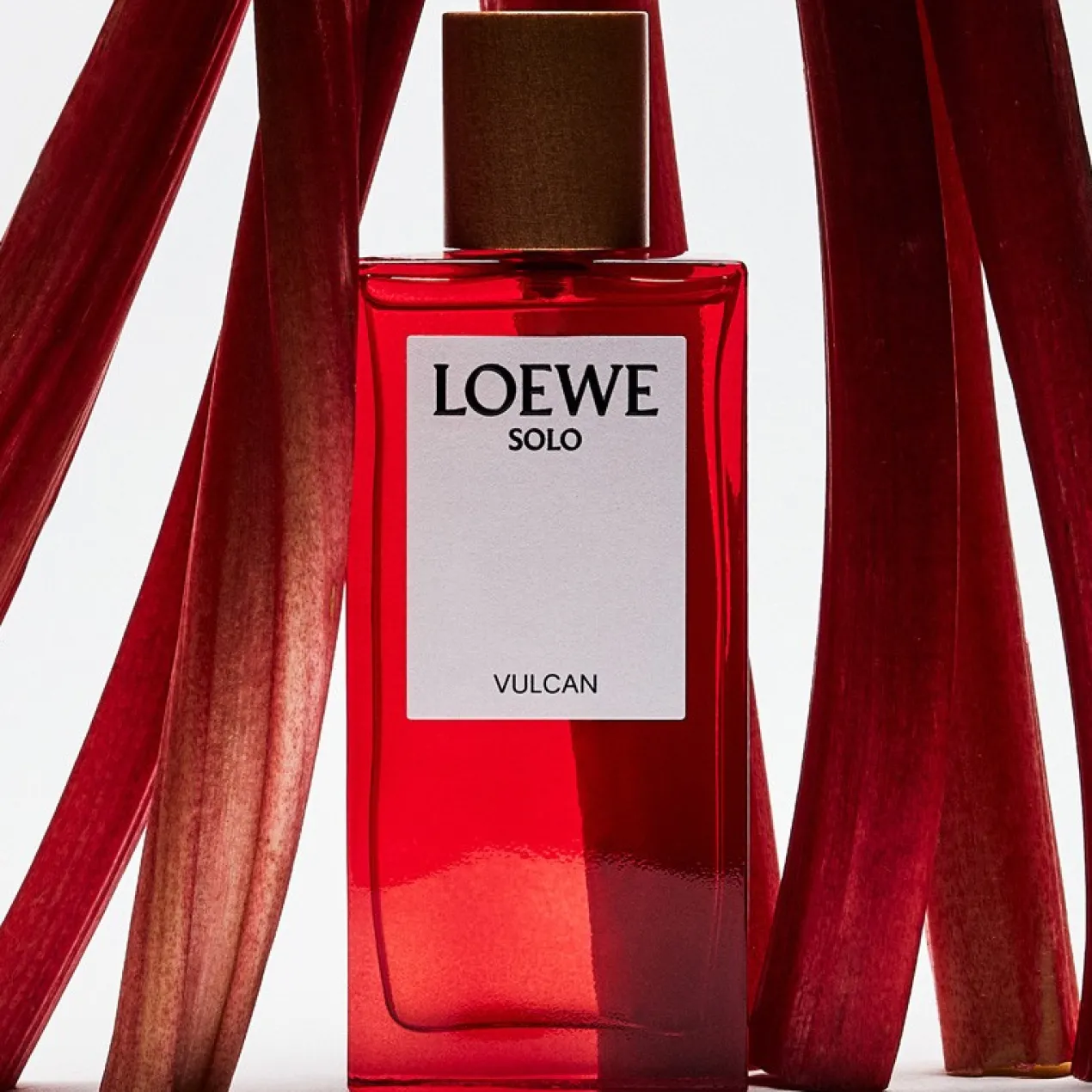 Solo Vulcan Eau de Parfum