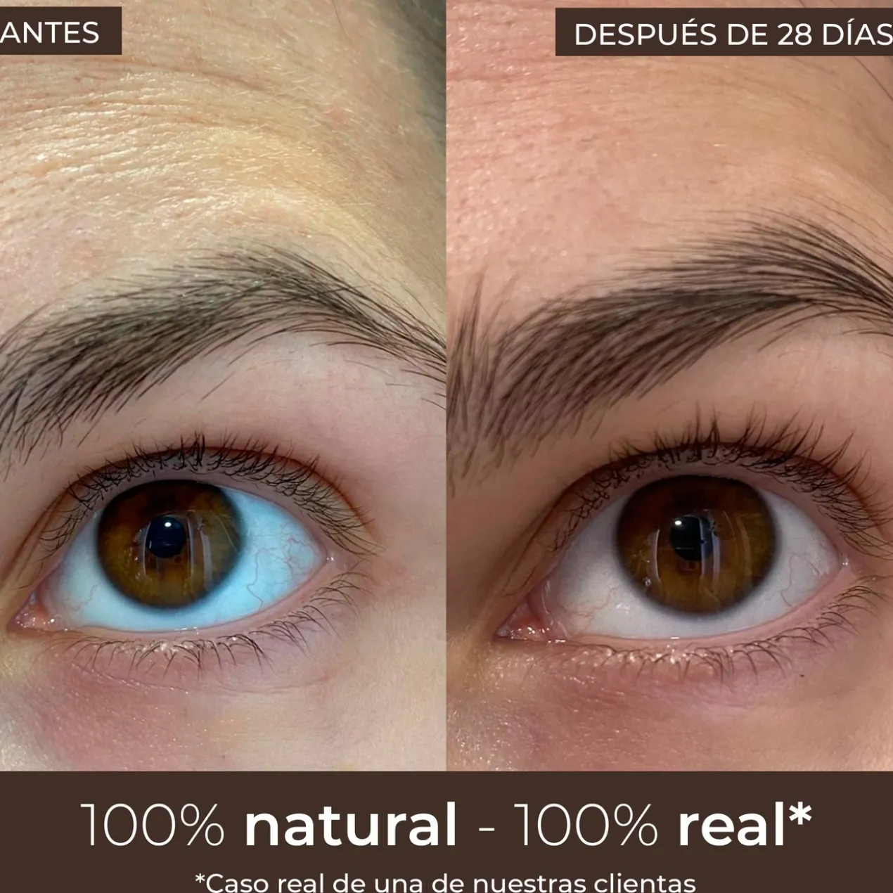 Sérum Croissance des Cils