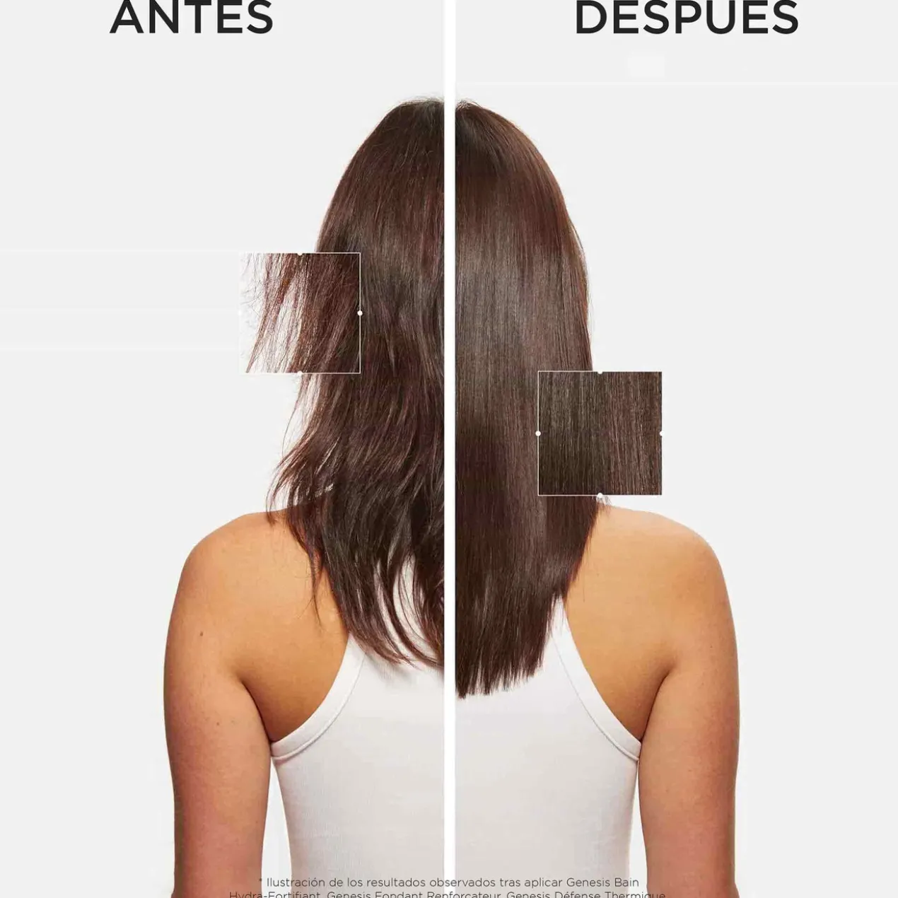 Sérum Fortifiant Antichute Genesis