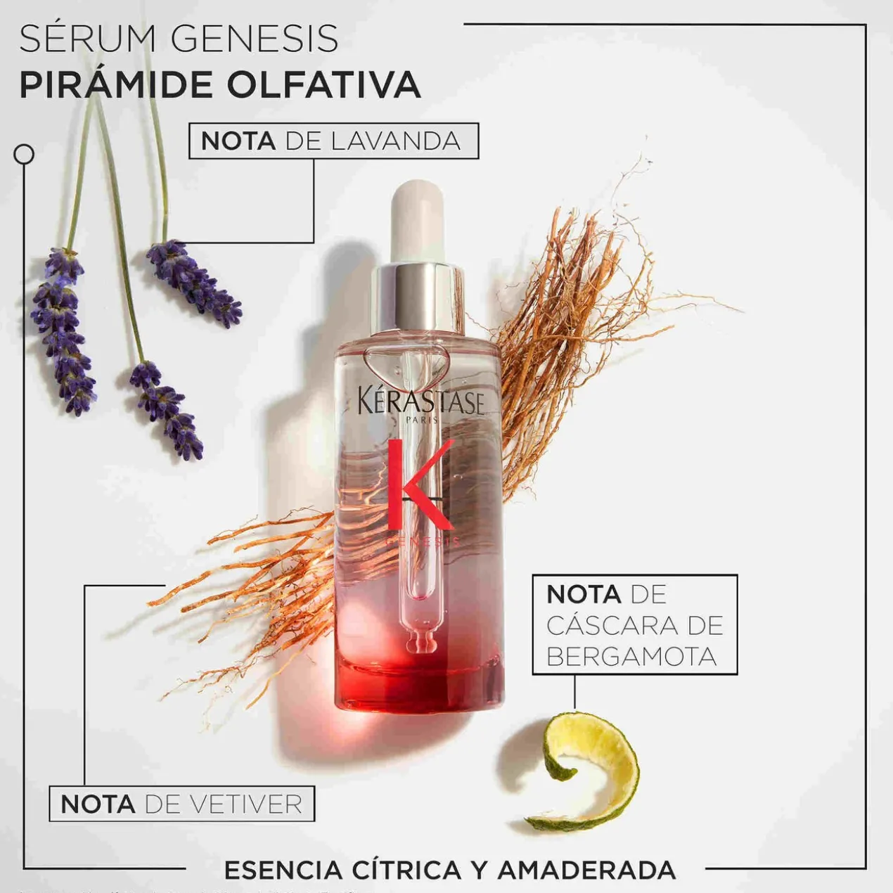Sérum Fortifiant Antichute Genesis