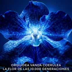 Sérum Orchidée Impériale Le Concentré de Longévité