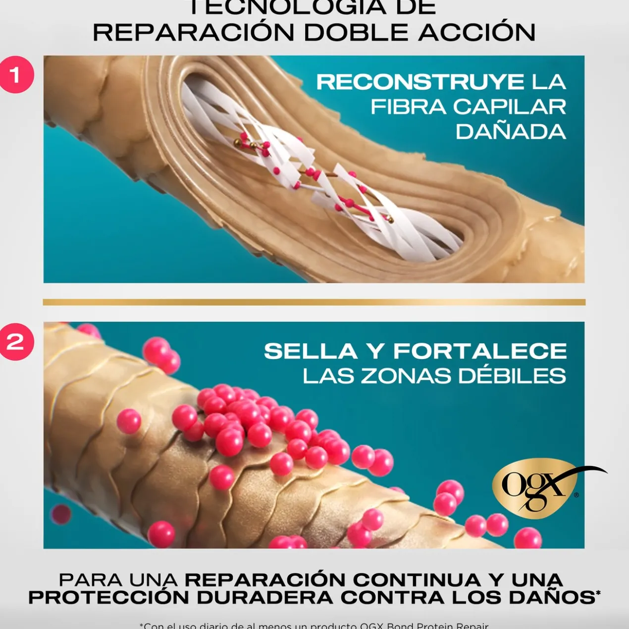Sérum Réparateur Bond Protein