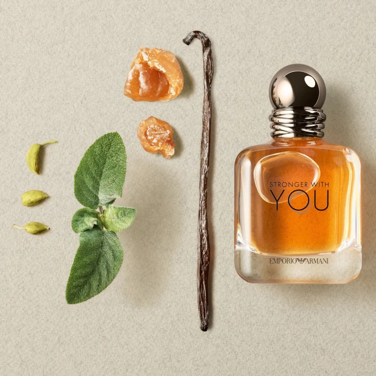Stronger With You Eau de Toilette Homme