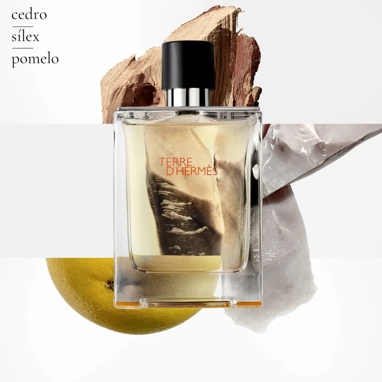 Terre d'Hermès Eau de Toilette