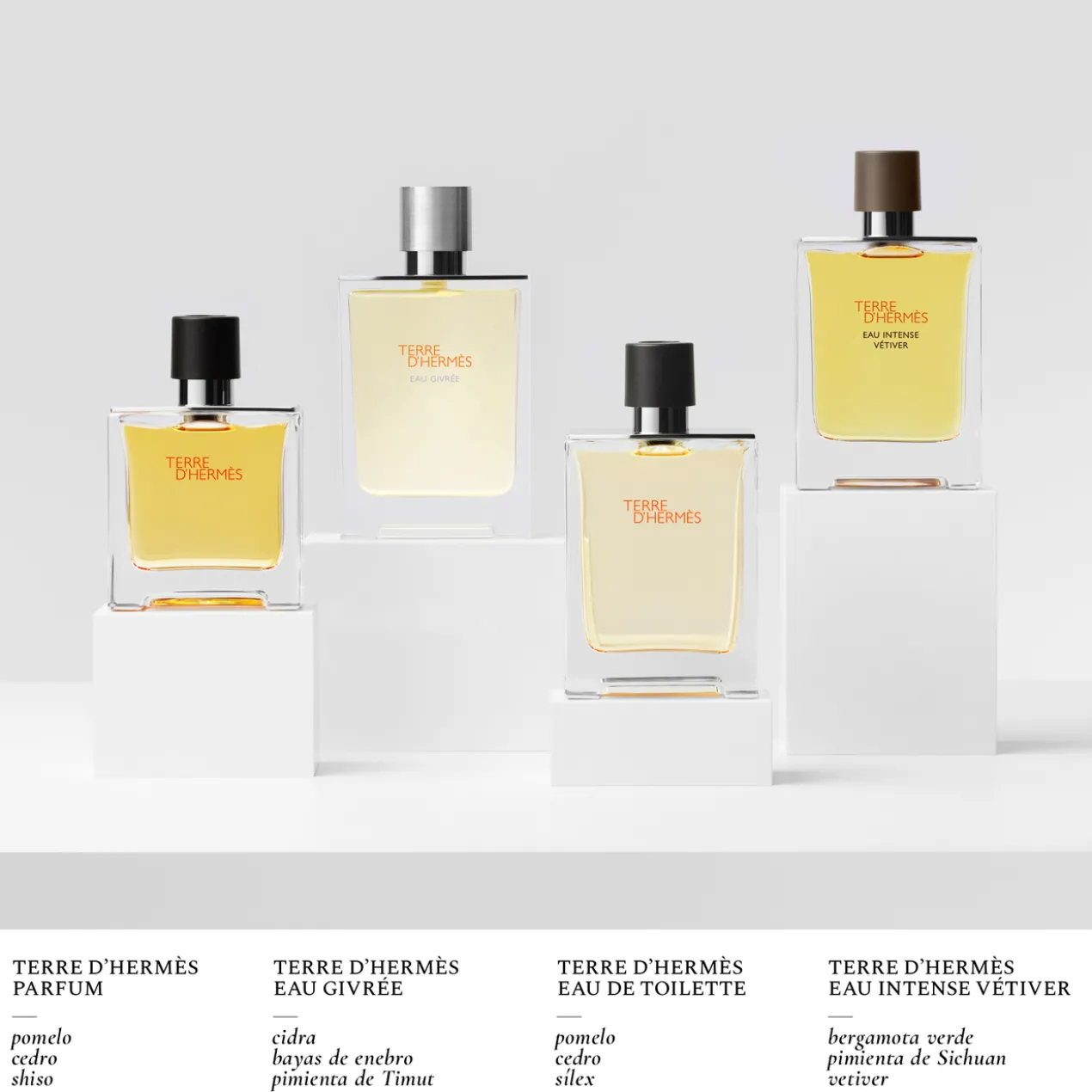 Terre d'Hermès Eau de Toilette