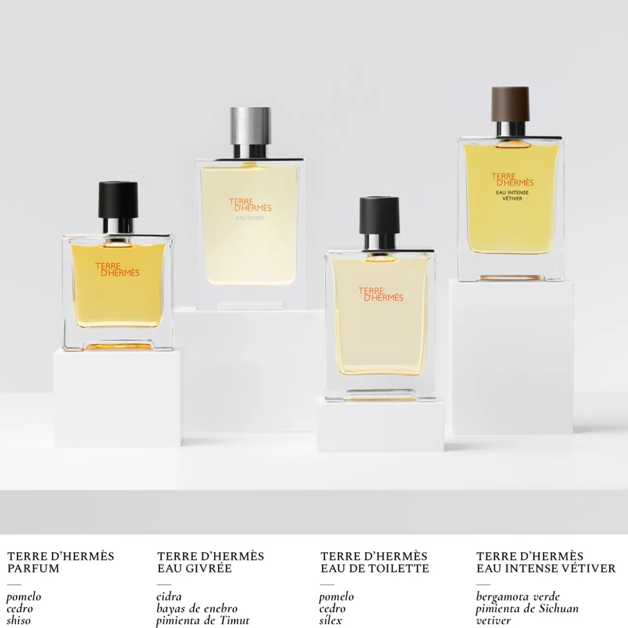 Terre d'Hermès Eau Intense Vetiver Eau de Parfum