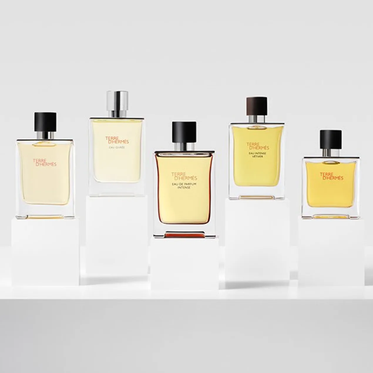 Terre D'Hermès Men Eau de Parfum Intense