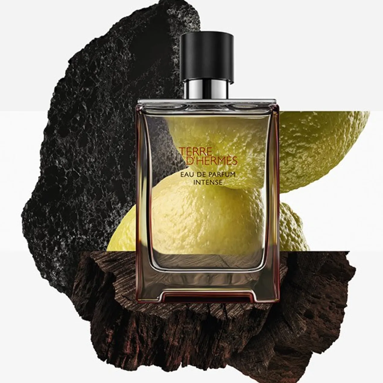 Terre D'Hermès Men Eau de Parfum Intense