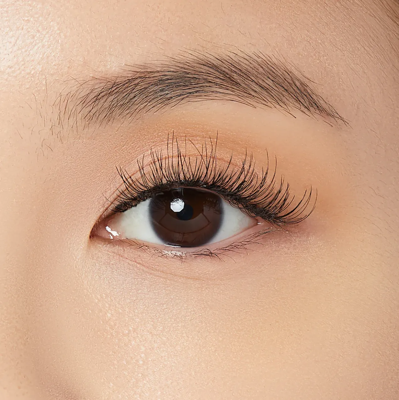 The New Natural Faux Cils