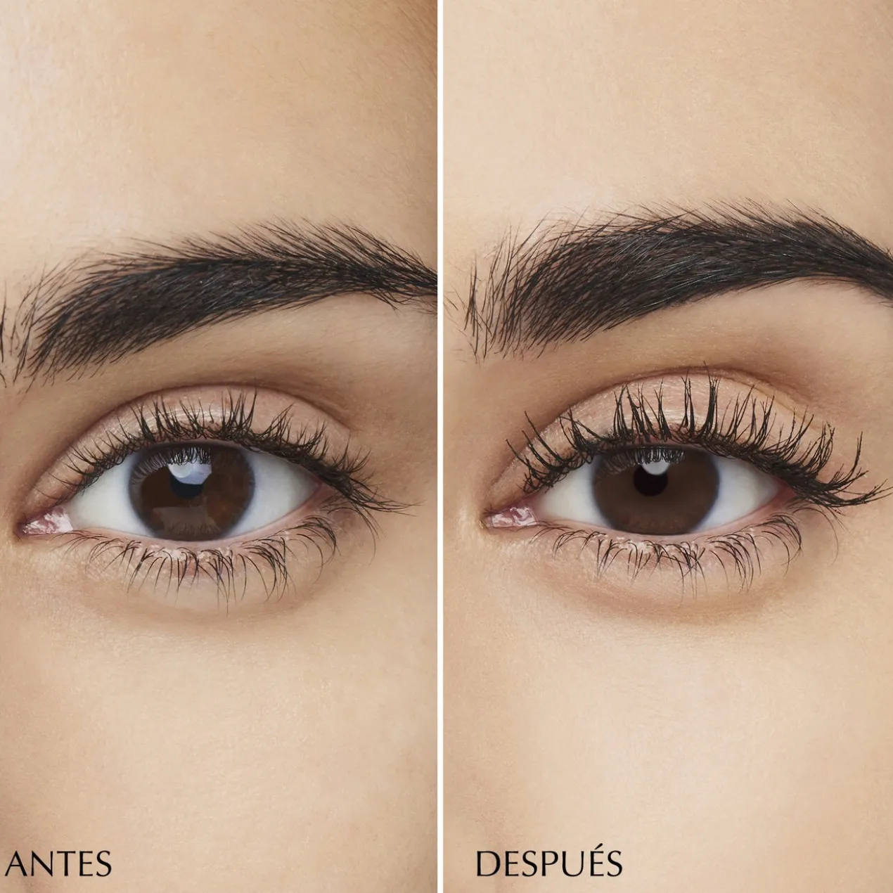 Turbolash Mascara