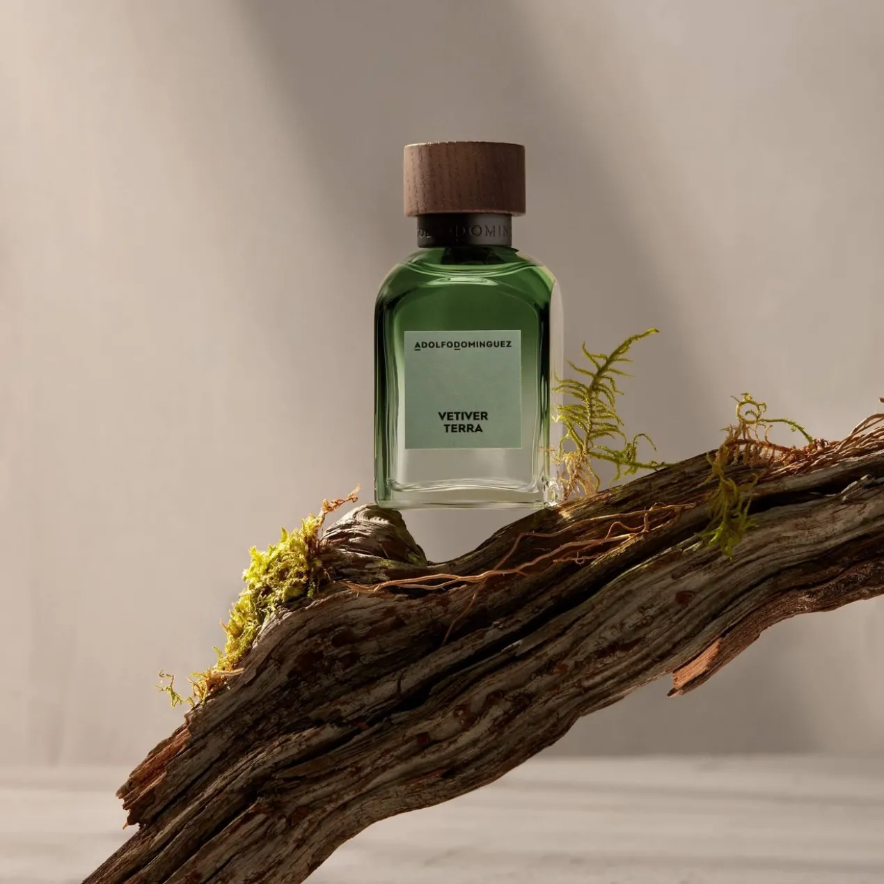 Vetiver Terra Eau de Parfum