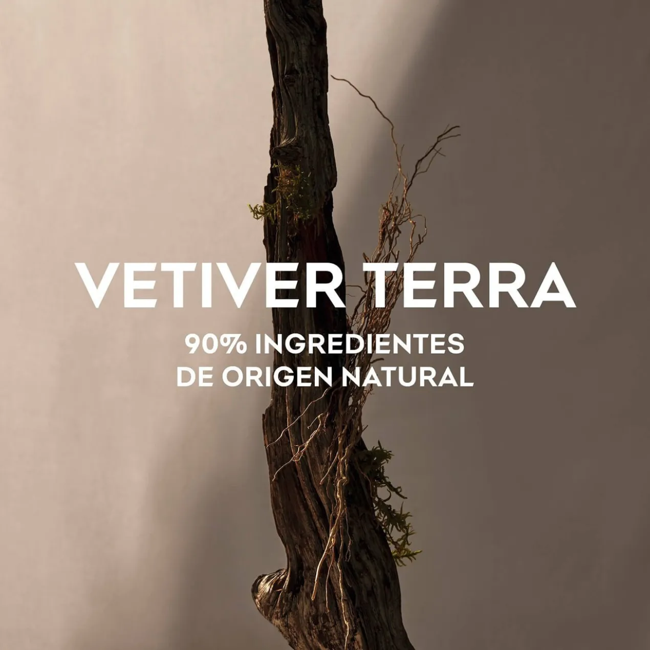 Vetiver Terra Eau de Parfum