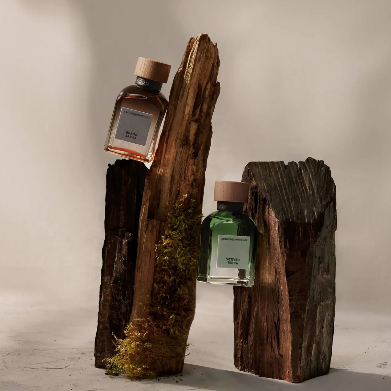 Vetiver Terra Eau de Parfum