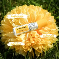 Vitamin E Baume à Lèvres