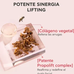 Wine Elixir Crème Anti-Rides et Raffermissante